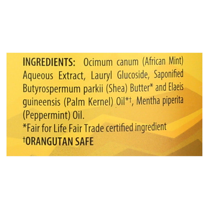 Alaffia - African Black Soap - Peppermint - 32 Fl Oz