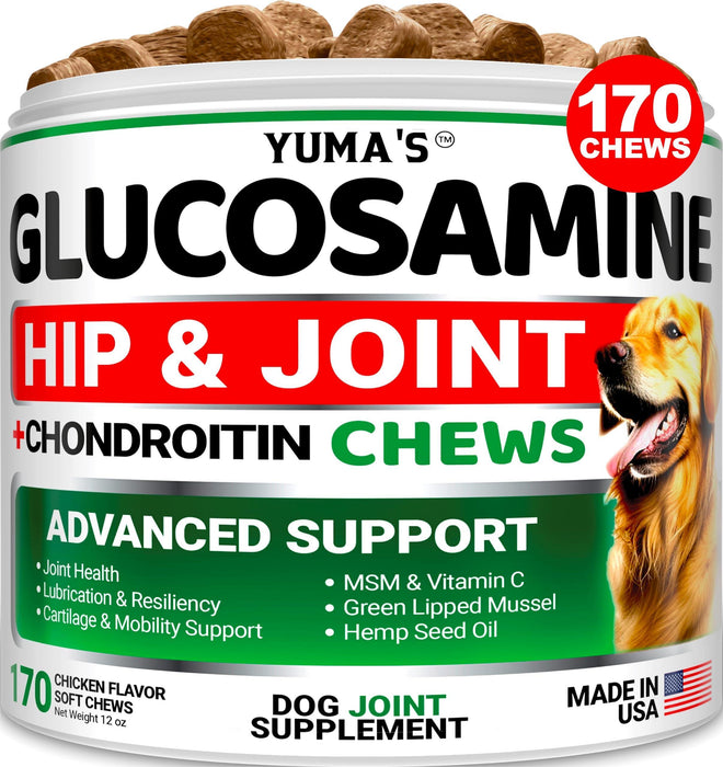 Glucosamine for Dogs  Hip and Joint Supplement for Dogs   170 Ct   Glucosamine Chondroitin for Dogs Chews   Dog Joint Pain Relief with MSM   Advanced Dog Joint Supplement Health   Mobility Support