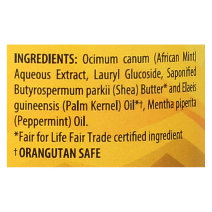 Alaffia - African Black Soap - Peppermint - 16 Fl Oz
