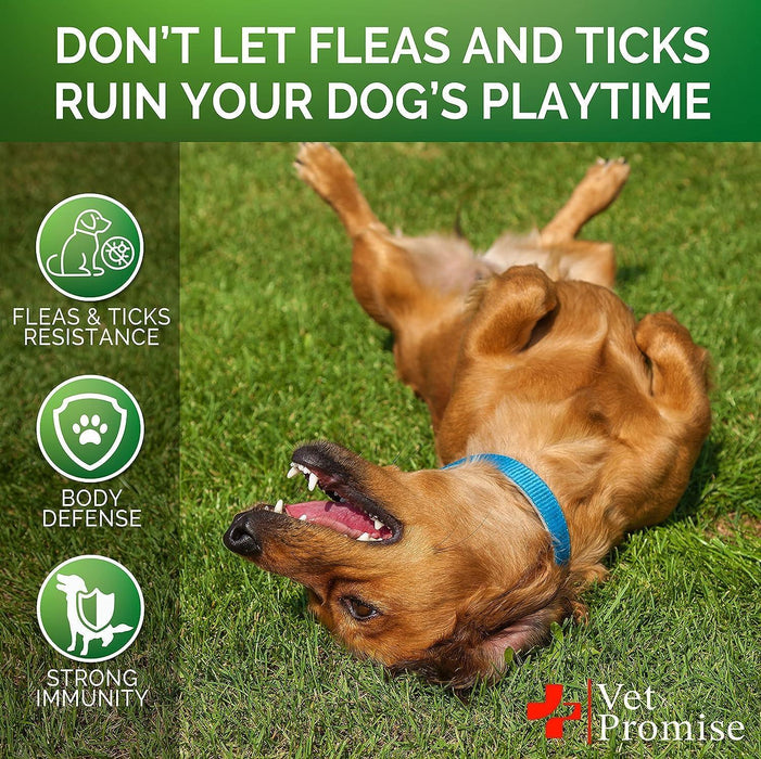 (2 Pack) Flea and Tick Prevention for Dogs Chewables .
