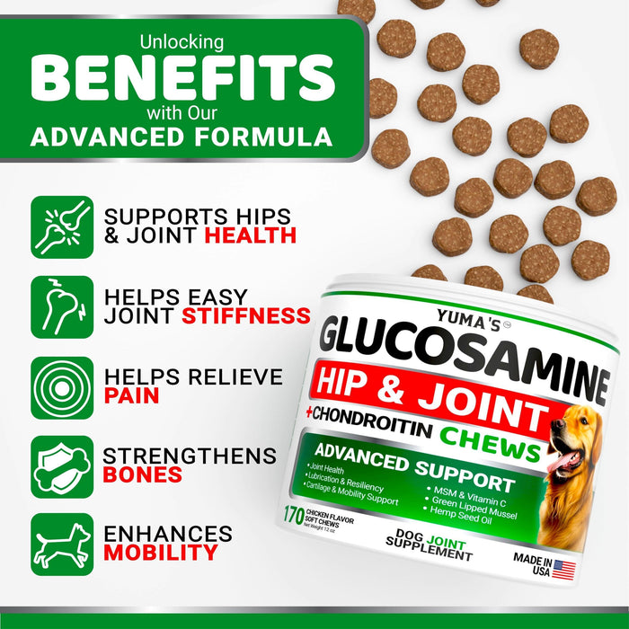 Glucosamine for Dogs  Hip and Joint Supplement for Dogs   170 Ct   Glucosamine Chondroitin for Dogs Chews   Dog Joint Pain Relief with MSM   Advanced Dog Joint Supplement Health   Mobility Support