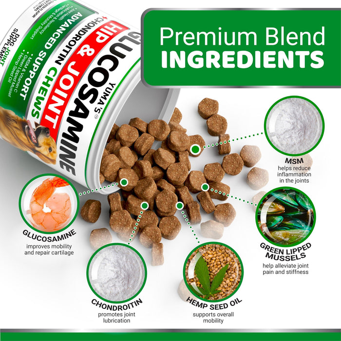 YUMA'S Dog Joint Comfort  Soft Hip and Joint Chews   Glucosamine Chondroitin Supplement   MSM   All Ages