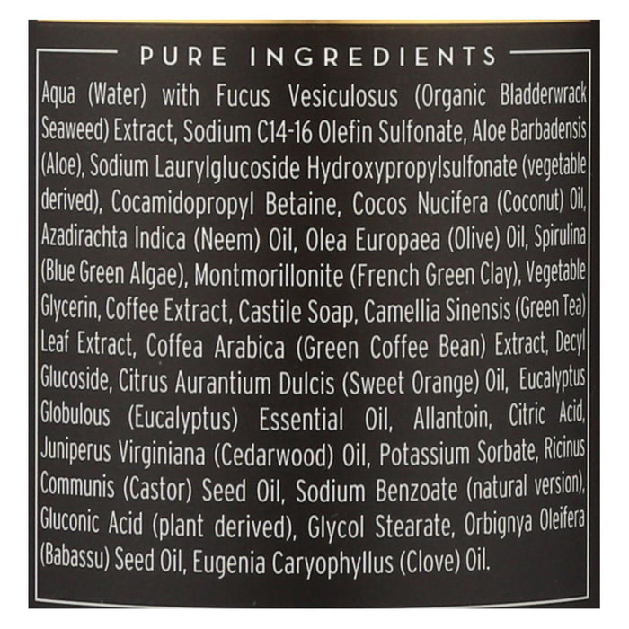 The Seaweed Bath Co Bodywash -Detox - Purify - Refresh - 12 Fl Oz