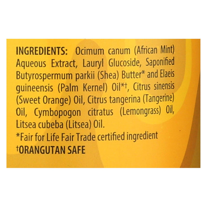 Alaffia - African Black Soap - Tangerine Citrus - 32 Fl Oz