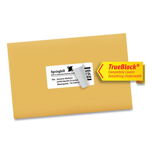 Shipping Labels W/ Trueblock Technology, Inkjet Printers, 2 X 4, White, 10/sheet, 100 Sheets/box.