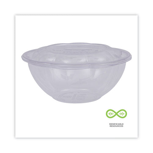 Renewable And Compostable Salad Bowls With Lids, 24 Oz, Clear, Plastic, 50/pack, 3 Packs/carton.