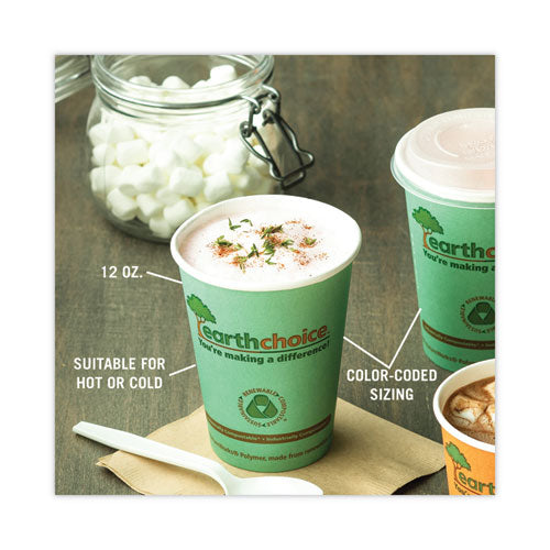 Earthchoice Compostable Paper Cup, 12 Oz, Teal, 1,000/carton.