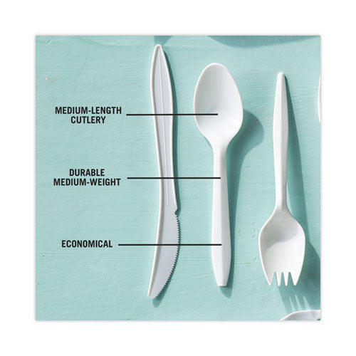 Fieldware Cutlery, Spoon, Mediumweight, White, 1,000/carton.