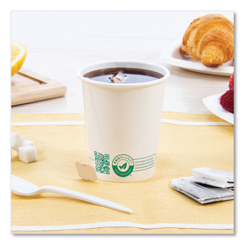 Compostable Paper Hot Cups, Proplanet Seal, 10 Oz, White/green, 1,000/carton.