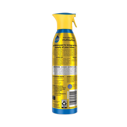 Multi-surface Everyday, Rainshower, 9.7 Oz Aerosol Spray, 6/carton.