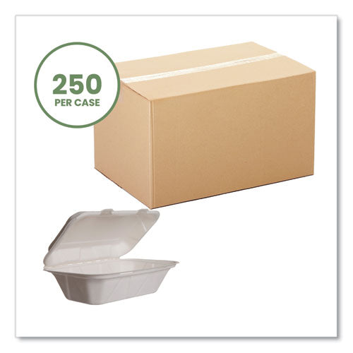 White Molded Fiber Clamshell Containers, Compostable, 9 X 11 X 2, White, Sugarcane, 250/carton.