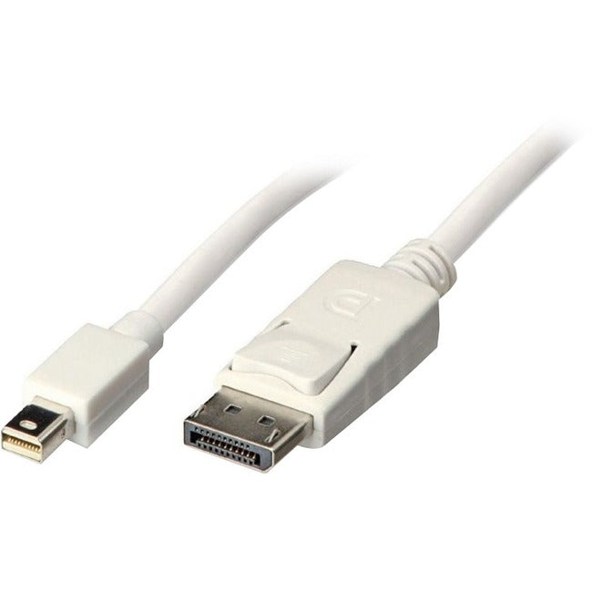 Unirise Mini DisplayPort/DisplayPort Audio/Video Cable.